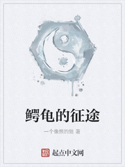 鳄龟的征途