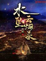水坠云烟录