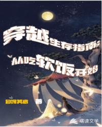 穿越生存指南：从吃软饭开始