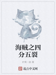 海贼之四分五裂