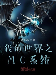 我的世界之MC系统