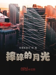 摔碎的月光