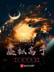 虚拟高手之巅峰降临