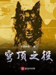 穹顶之役