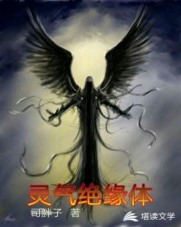 灵气绝缘体