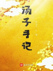 汤子手记