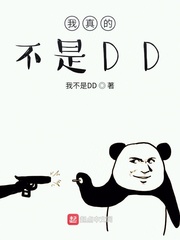 我真的不是DD