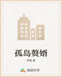 孤岛赘婿