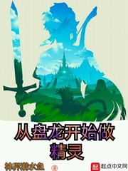 从盘龙开始做精灵