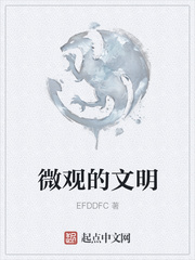 微观的文明