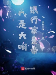 我是大明银行家皇帝