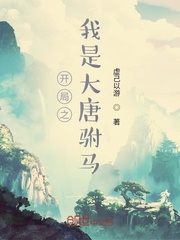 开局之我是大唐驸马