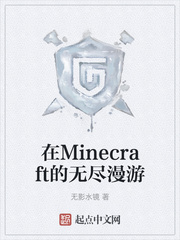 在Minecraft的无尽漫游