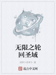 无限之轮回圣域