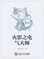 火影之电气大师