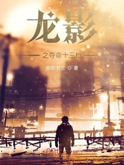 龙影之夺命十三枪