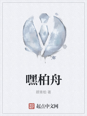 嘿柏舟