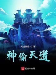 神偷天道