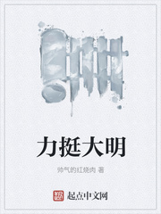力挺大明