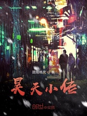 昊天小传