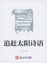追赶太阳诗语