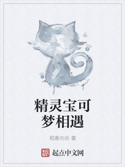 精灵宝可梦相遇