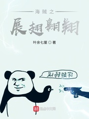 海贼之展翅翱翔