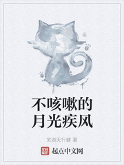 不咳嗽的月光疾风