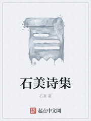 石美诗集