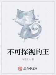 不可探视的王