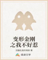 变形金刚之我不好惹