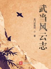 武当风云志