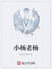 小杨老杨