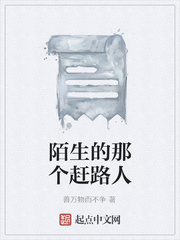 陌生的那个赶路人