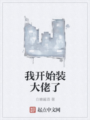 我开始装大佬了
