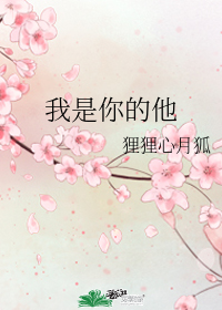 我是你的他