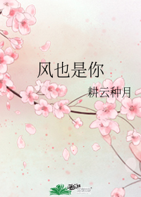 风也是你