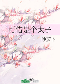 可惜是个太子