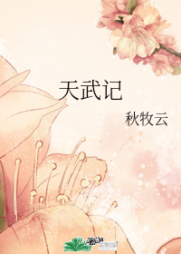 天武记