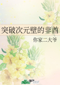 突破次元壁的非酋