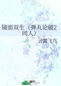 镜面双生（弹丸论破2同人）