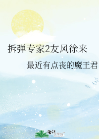 拆弹专家2友风徐来