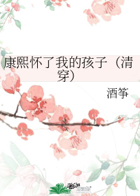 康熙怀了我的孩子（清穿）