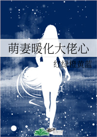 萌妻暖化大佬心