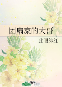 团扇家的大哥