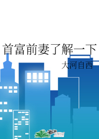 首富前妻了解一下