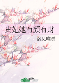 贵妃她有颜有财