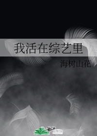 我活在综艺里