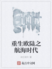 重生欧陆之航海时代
