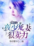 步步婚宠：夜少宠妻很卖力